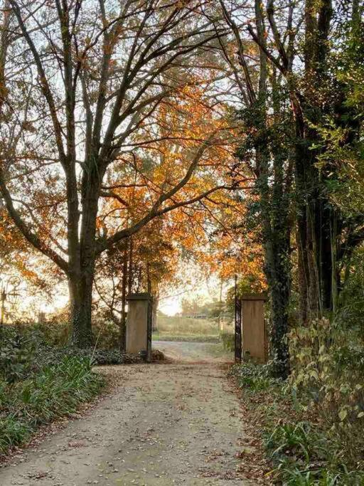 Yellowwoods Farm - Willoughbys Cottage And Old Stables Cottage Curryʼs Post المظهر الخارجي الصورة